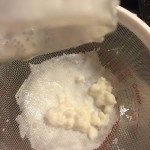 kefir grains